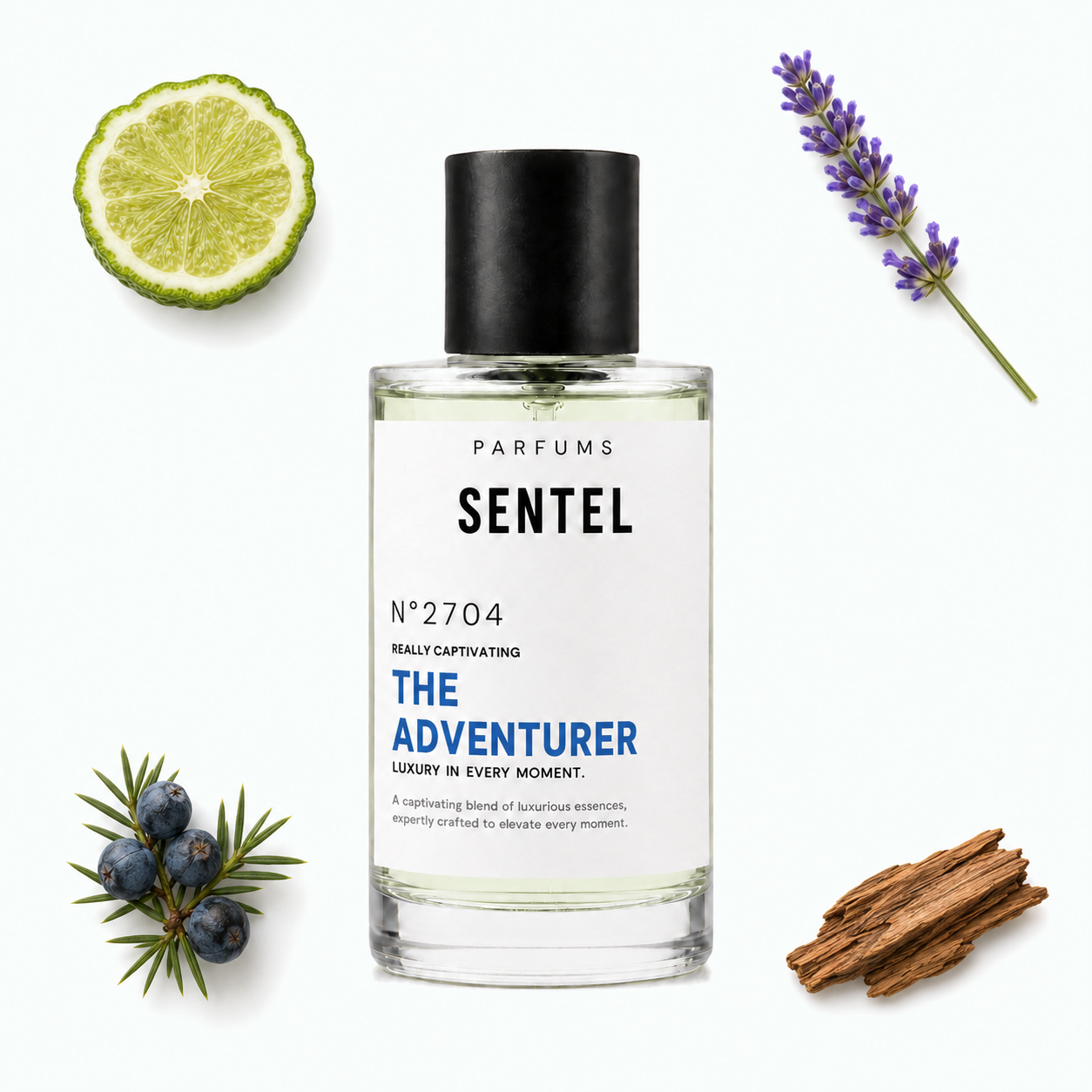 The Adventurer Men Perfume - Sentel 50ml
