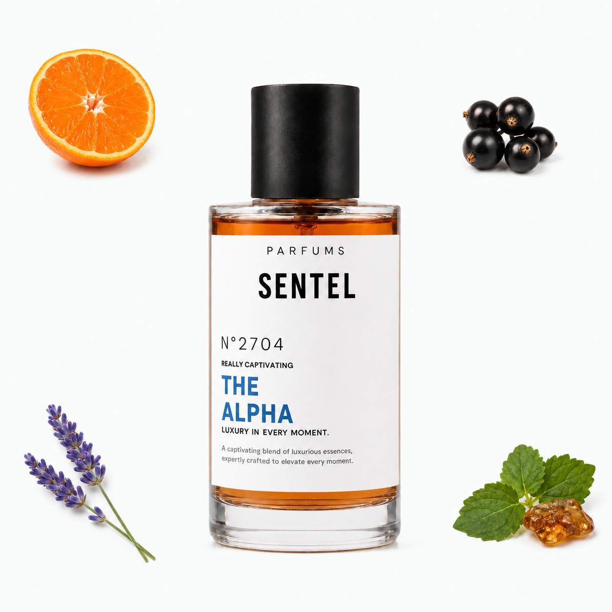 The Alpha Men Perfume - Sentel 50ml
