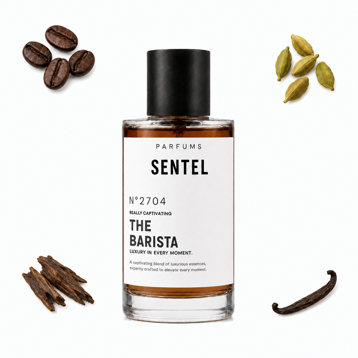 The Barista Unisex Perfume - Sentel 50ml