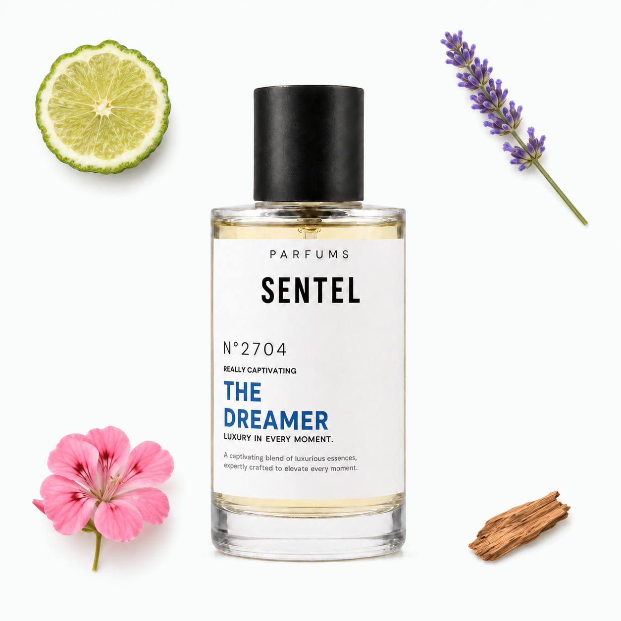 The Dreamer Men Perfume, EDP Sentel 50ML