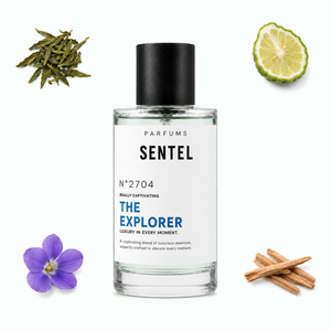 The Explorer Men Perfume, EDP Sentel 50ML