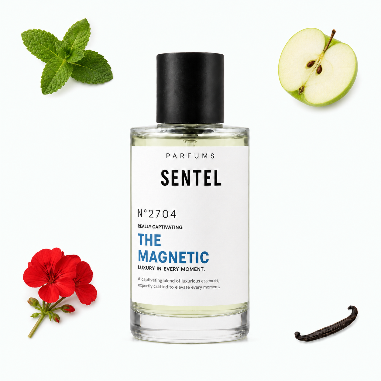 The Magnetic Men Perfume - Sentel 50ml
