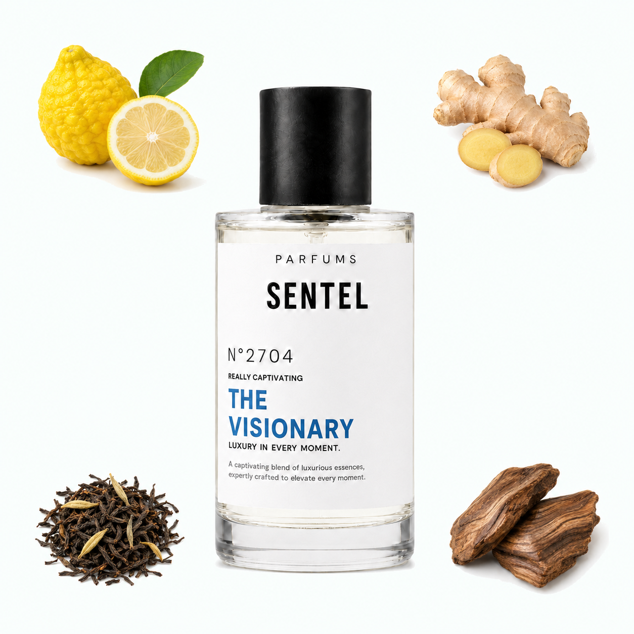 The Visionary Men Perfume - Sentel 50ml